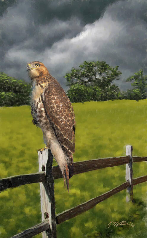 Hawk Art Print featuring the painting Waiting for the Storm - Red Tail Hawk by Kathie Miller