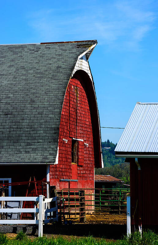 Landscape Art Print featuring the photograph Working Barn by Tikvah's Hope