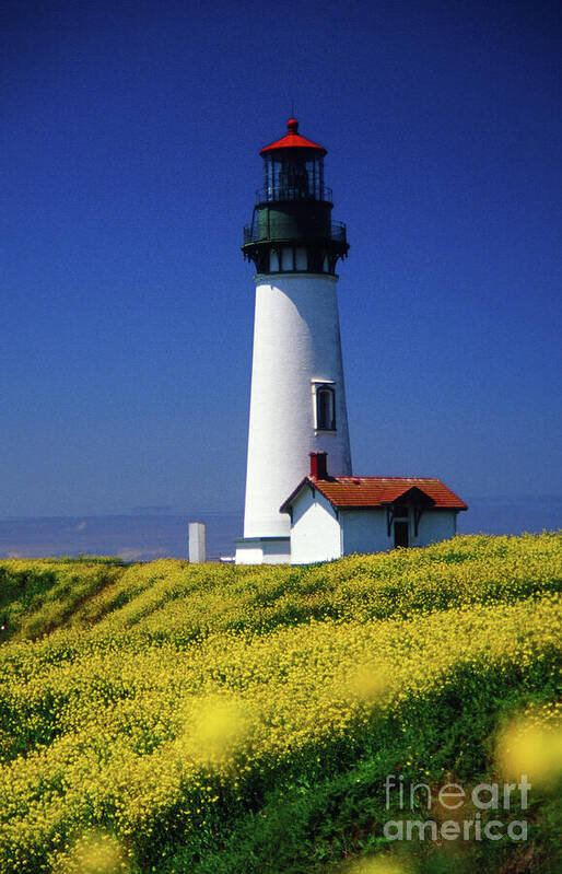 Images Art Print featuring the photograph Yaquina Head Lighthouse by Rick Bures