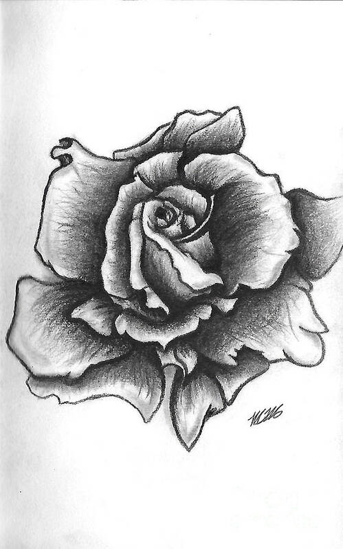 Rose Art Print featuring the drawing A Single Rose by Marissa McAlister