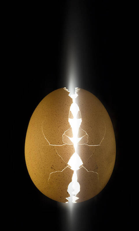 Egg Art Print featuring the photograph Alien Egg by Wieteke De Kogel
