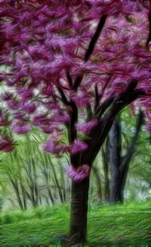 Cherry Blossom Tree Art Print featuring the photograph Cherry Blossom Tree by Crystal Wightman