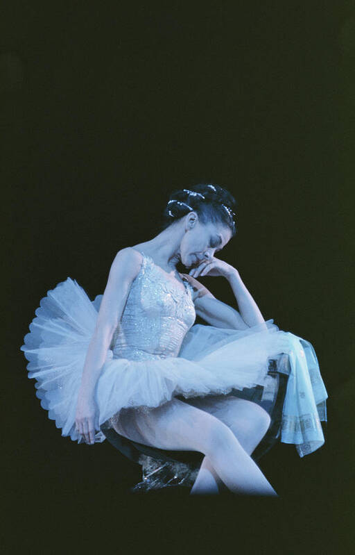 Ballet Dancer Art Print featuring the photograph Fonteyn As Raymonda by Erich Auerbach