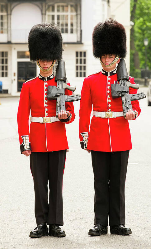Grenadier Guards Art Print featuring the photograph Grenadier Guards by David L Moore
