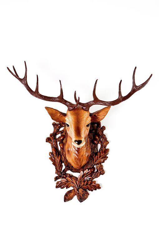 Hanging Art Print featuring the photograph Head Of A Plastic Deer by Maodesign