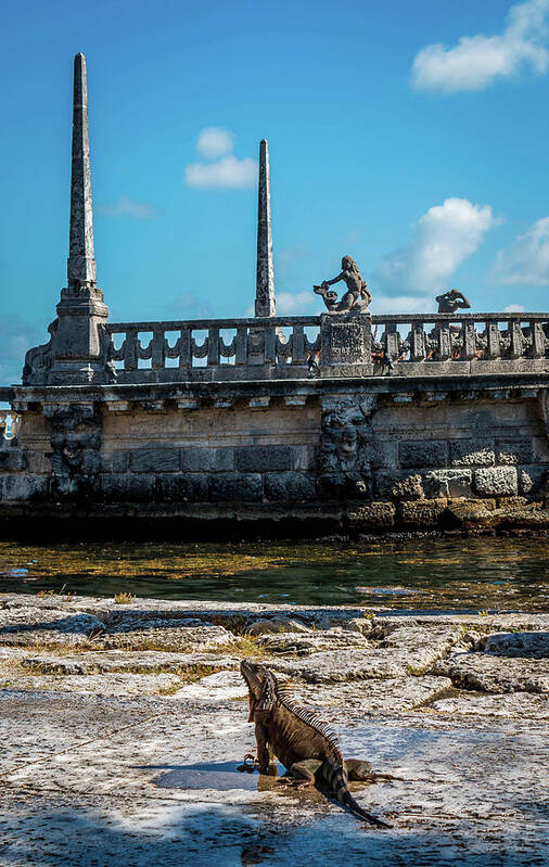 Deering Art Print featuring the photograph Iguana at Vizcaya Barge by Susie Weaver