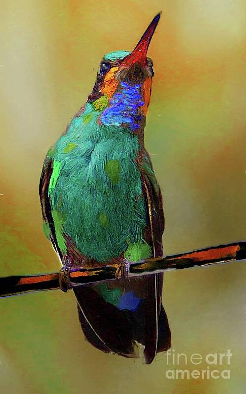 John+kolenberg Art Print featuring the photograph Painted Hummingbird by John Kolenberg