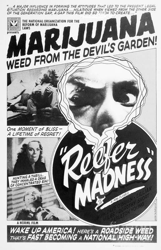 REEFER MADNESS 9" x 12" Sign