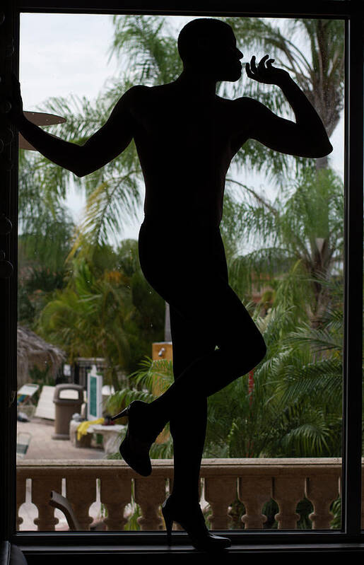 Male Art Print featuring the photograph Silhouette II by Jim Lesher