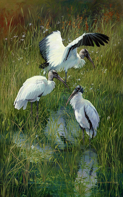 Birds Art Print featuring the painting Woodstorks Trio by Laurie Snow Hein