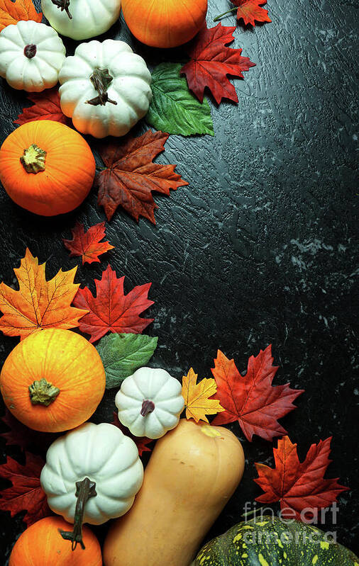 Pumpkin Art Print featuring the photograph Autumn harvest, diverse assortment of pumpkins on a black marble table counter. #3 by Milleflore Images