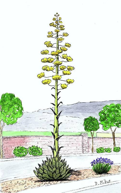 Watercolor And Ink Art Print featuring the painting Century Plant by Donna Mibus