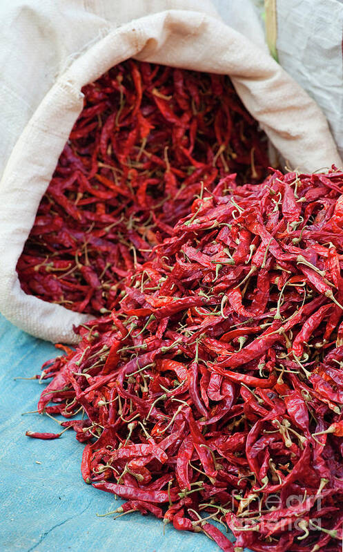 Dry Art Print featuring the photograph Dried Red Chilli Peppers in India by Tim Gainey