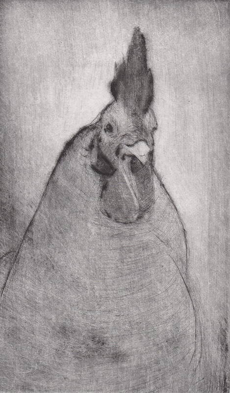 Rooster Art Print featuring the drawing Lord Ribblesday - etching by David Ladmore