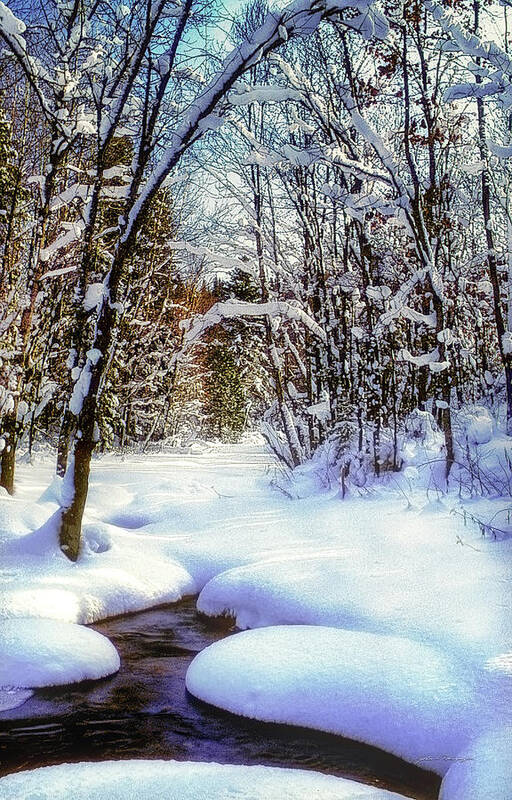 Photographs Art Print featuring the photograph Michigan Snowscene by John A Rodriguez