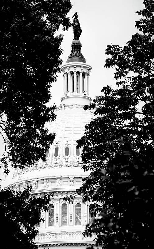 Freedom Art Print featuring the photograph The Statue of Freedom by Karen Cox