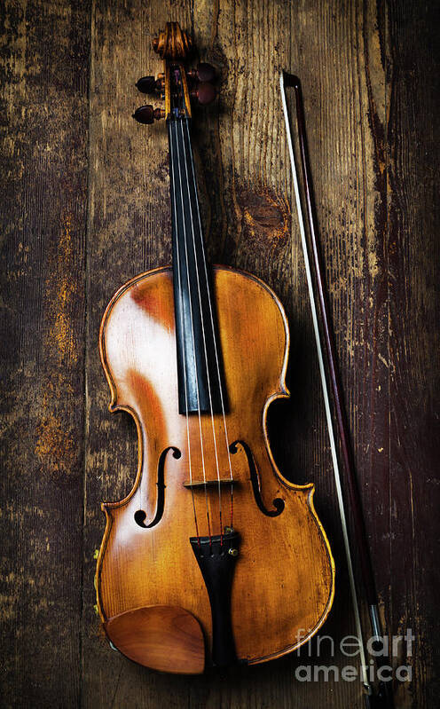 Violin Art Print featuring the photograph Viola by Jelena Jovanovic