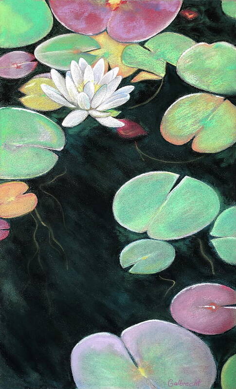 Water Lily Art Print featuring the painting Water Lilies by Shirley Galbrecht