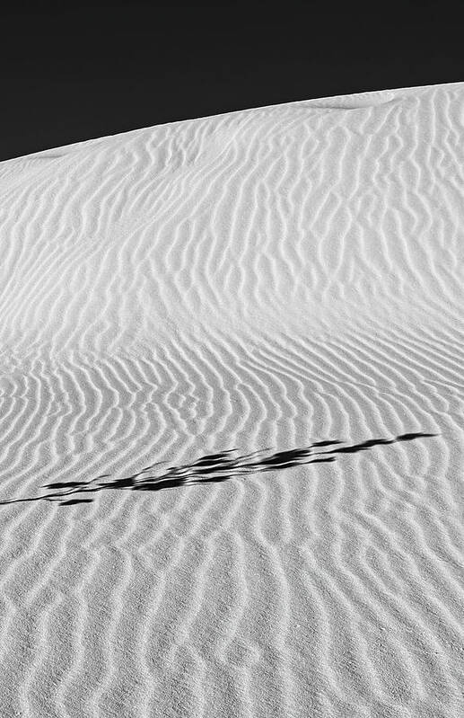 © 2013 Lou Novick Art Print featuring the photograph White sands #4 2 of 2 by Lou Novick