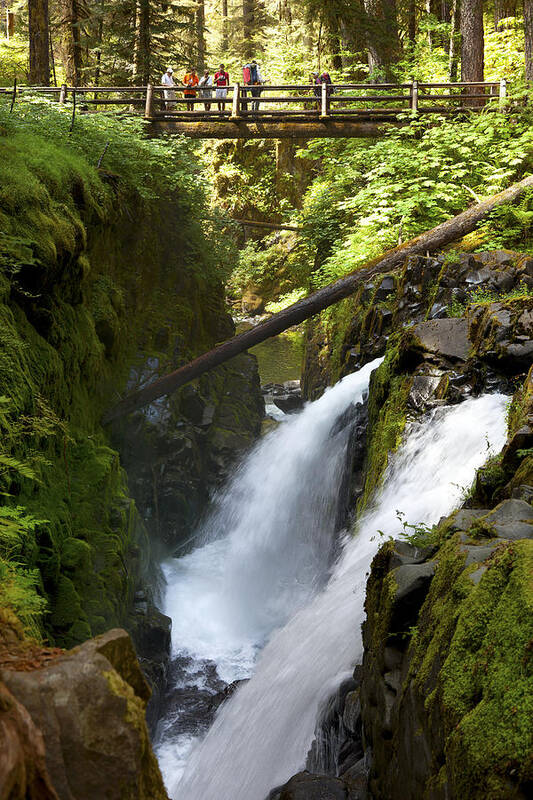 Vertical Art Print featuring the photograph Sol Duc Waterfalls in Olympic National Park #1 by King Wu