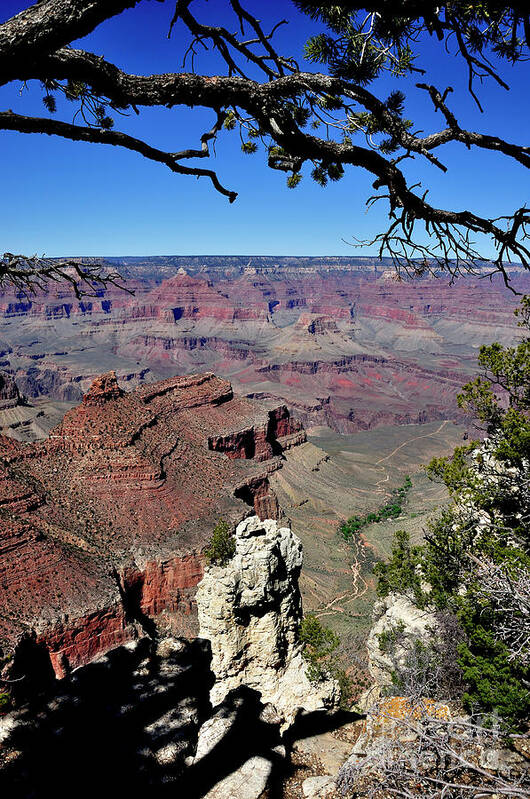 Lipan Point Art Print featuring the photograph South Rim of the Grand Canyon #2 by Thomas R Fletcher