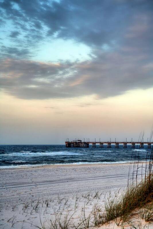 Gulf Shores Art Print featuring the photograph Fish Gulf Shores by JC Findley