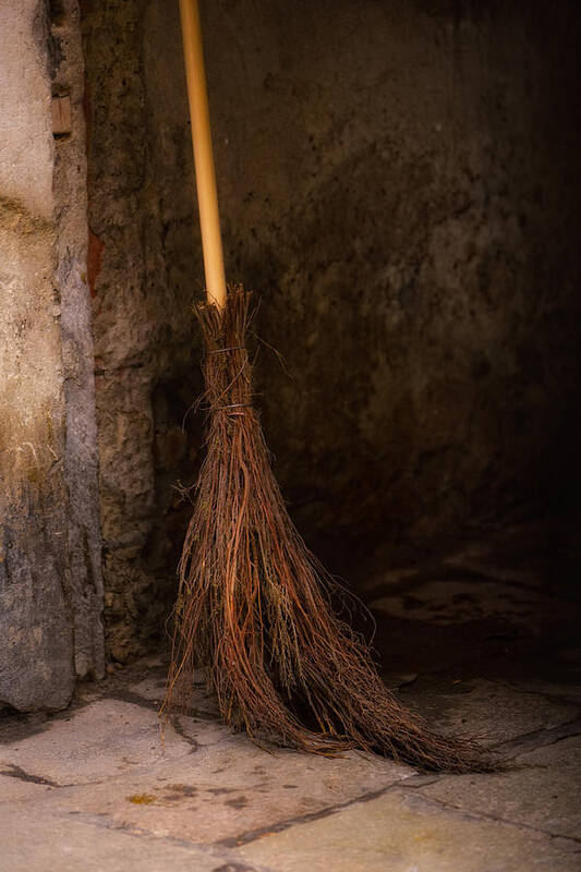 Italian Broom Art Print Art Print featuring the photograph Italian Sweep by Bob Coates
