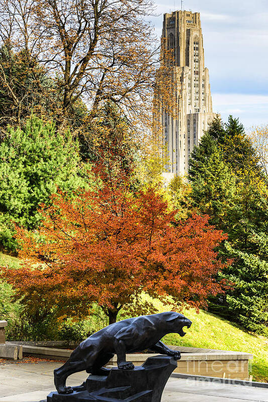 Cathedral Of Learning Art Print featuring the photograph Pitt Panther and Cathedral of Learning by Thomas R Fletcher