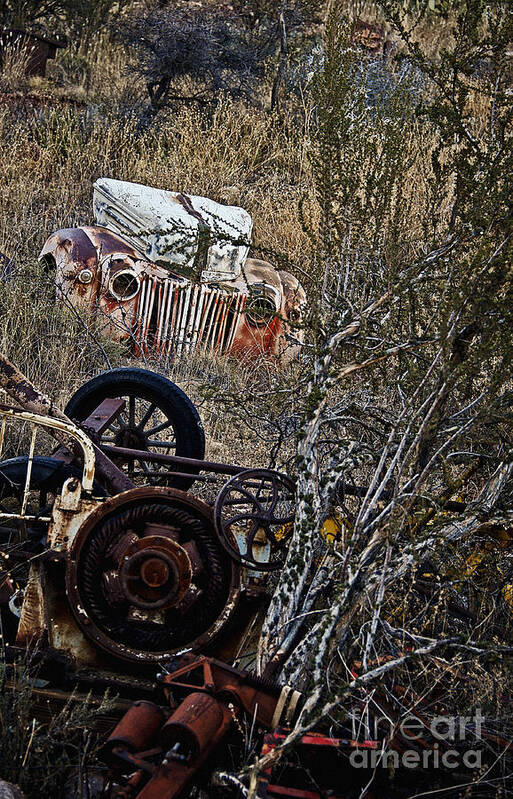 Leecraig Art Print featuring the photograph Some Ford in the Weeds by Lee Craig