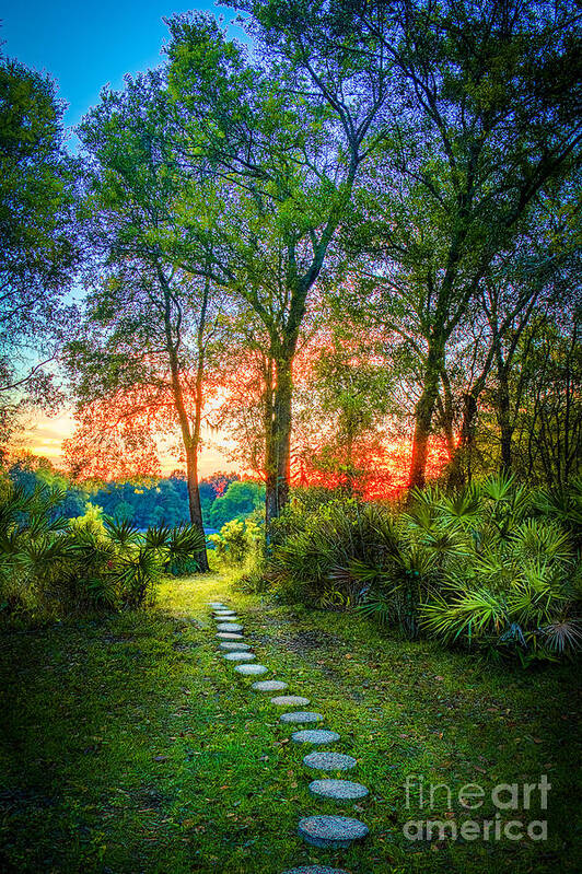 Stepping Stones Art Print featuring the photograph Stepping Stones to the Light by Marvin Spates