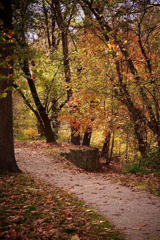 Autumn Art Print featuring the photograph Fall path by Kelley Nelson