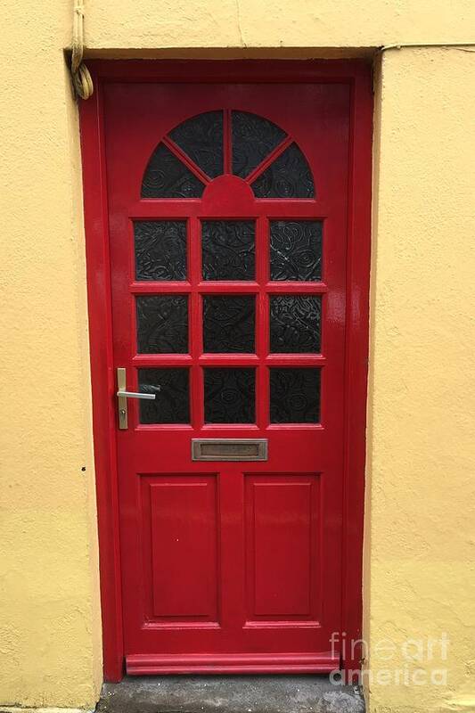 Ireland Art Print featuring the photograph Irish Red Door by Suzanne Lorenz