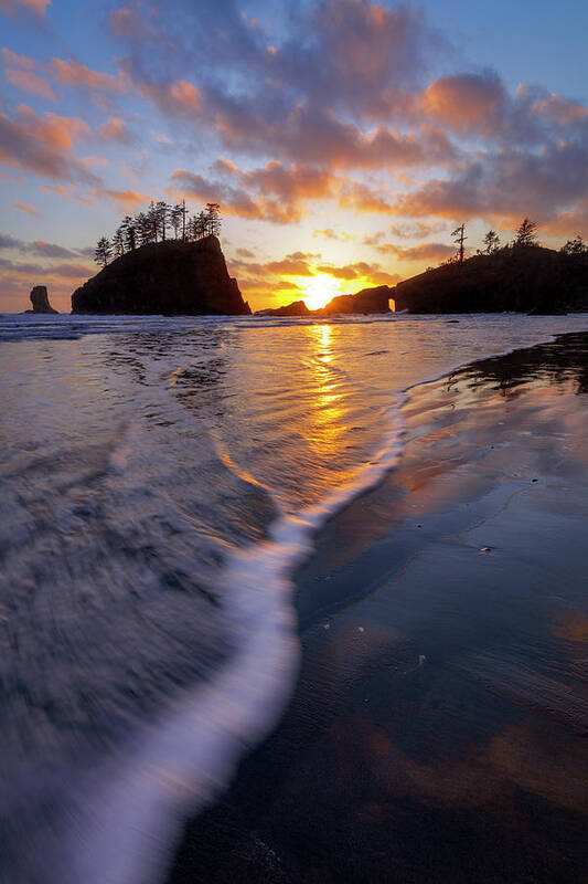 Washington Art Print featuring the photograph Lead the Way by Mike Lang