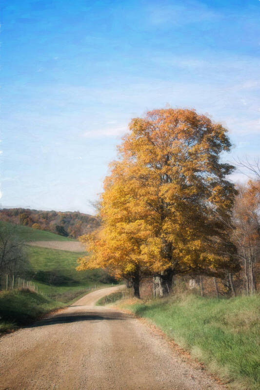 Road Art Print featuring the photograph Roadside Tree in Autumn by Tom Mc Nemar
