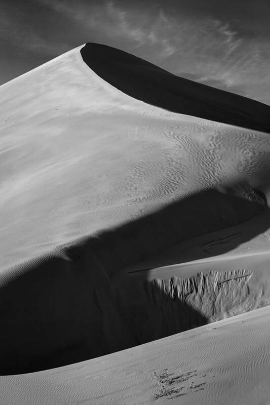 Sand Art Print featuring the photograph Shadow Dance by Mike Lang