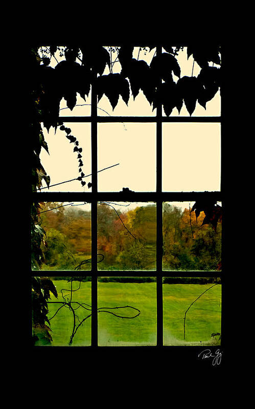Window Art Print featuring the photograph Through the Window by Paul Gaj