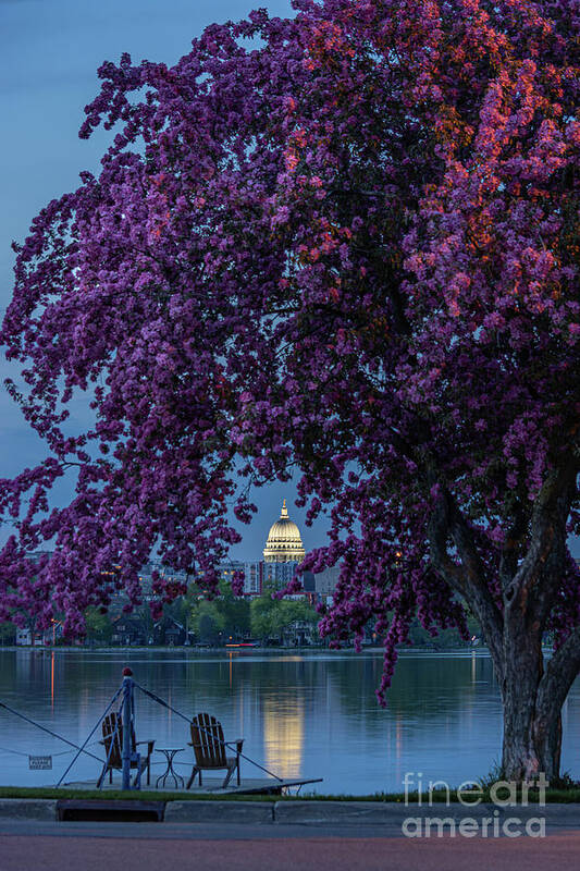 Redbud Art Print featuring the photograph Relaxing Evening with a View by Amfmgirl Photography