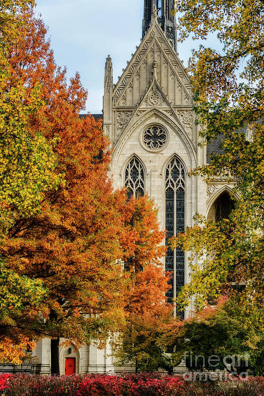 Heinz Chapel Art Print featuring the photograph Heinz Chapel Autumn Trees by Thomas R Fletcher