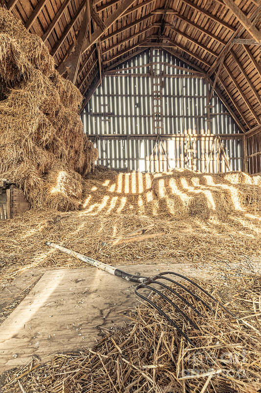 Barn Art Print featuring the photograph Living history by Amfmgirl Photography
