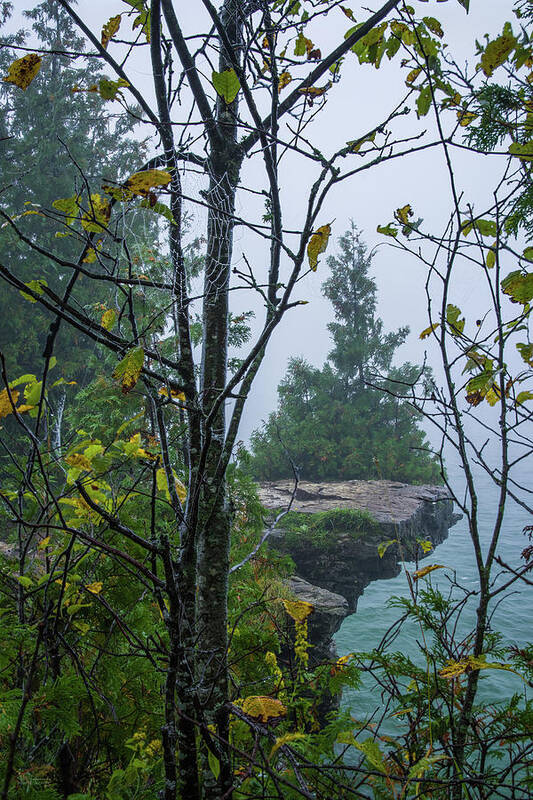 Cave Point Art Print featuring the photograph Sentinel Cedar at Cave Point and a droplet-bedazzled Spiderweb - Door County Wisconsin by Peter Herman