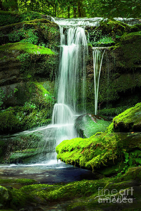 Smoky Mountains Art Print featuring the photograph Smoky Mountains Falls in Solitude by Theresa D Williams