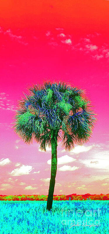 Wild Palms Art Print featuring the photograph Wild Palm 2 by John Douglas