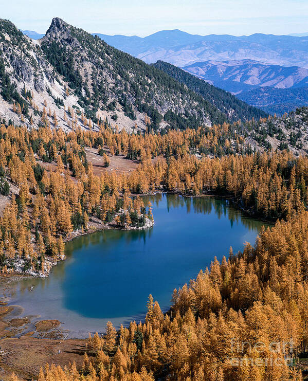 Fall Color Art Print featuring the photograph Martin Peak above Cooney Lake by Tracy Knauer