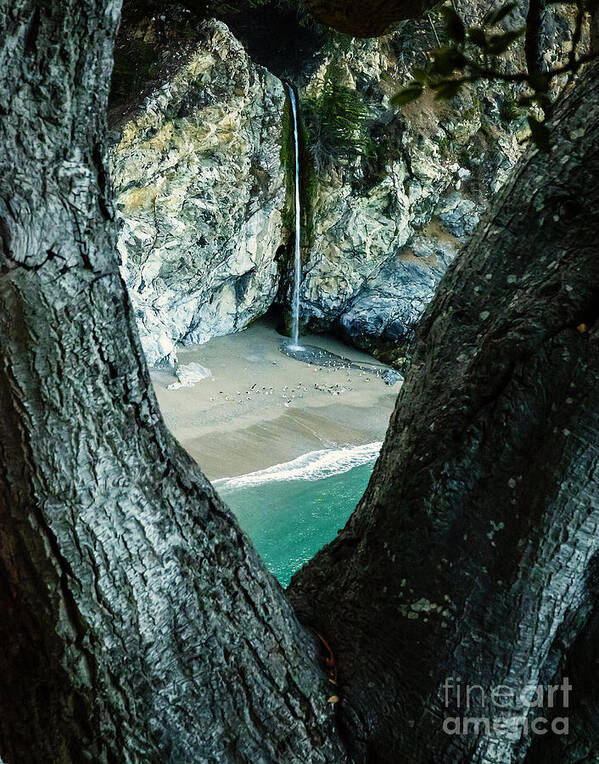 Mcway Falls Art Print featuring the photograph McWay Falls-Big Sur by David Millenheft