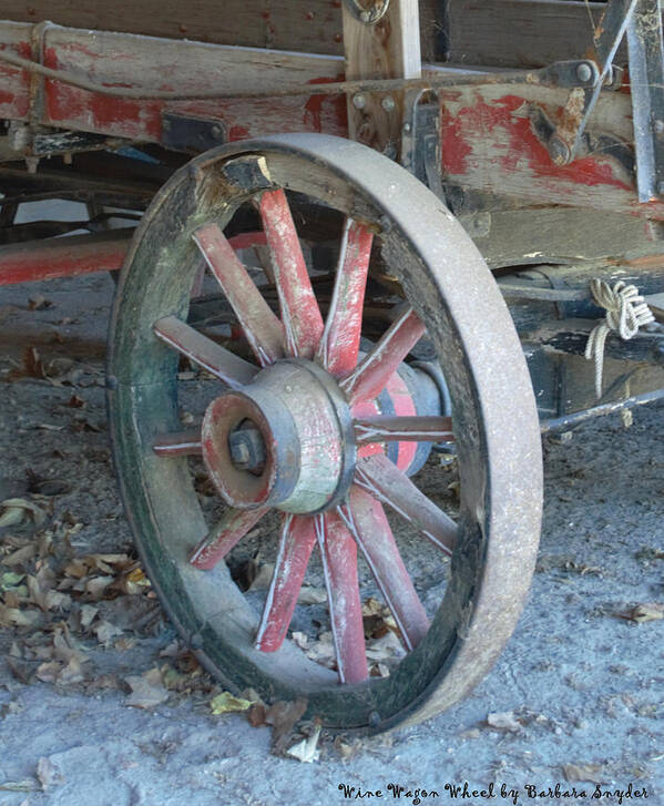 Barbara Snyder Art Print featuring the photograph Wine Wagon Wheel #1 by Barbara Snyder
