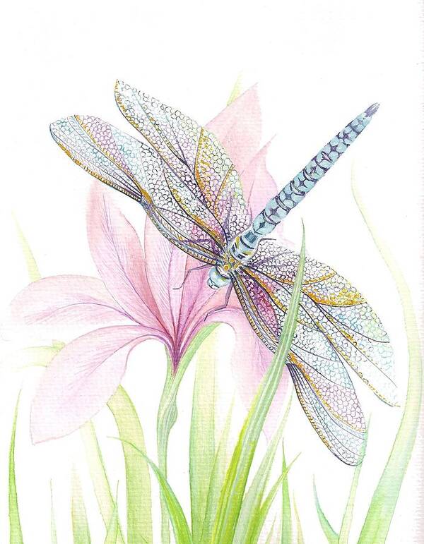 Dragonfly Art Print featuring the painting Sheer Wings / sold #1 by Barbara Anna Cichocka