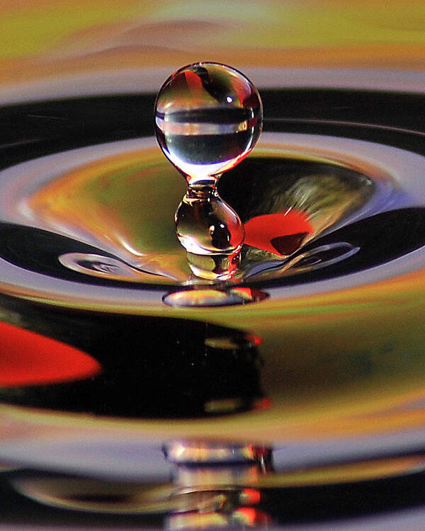 Water Drops Art Print featuring the photograph Untitled #6 by Gene Tatroe