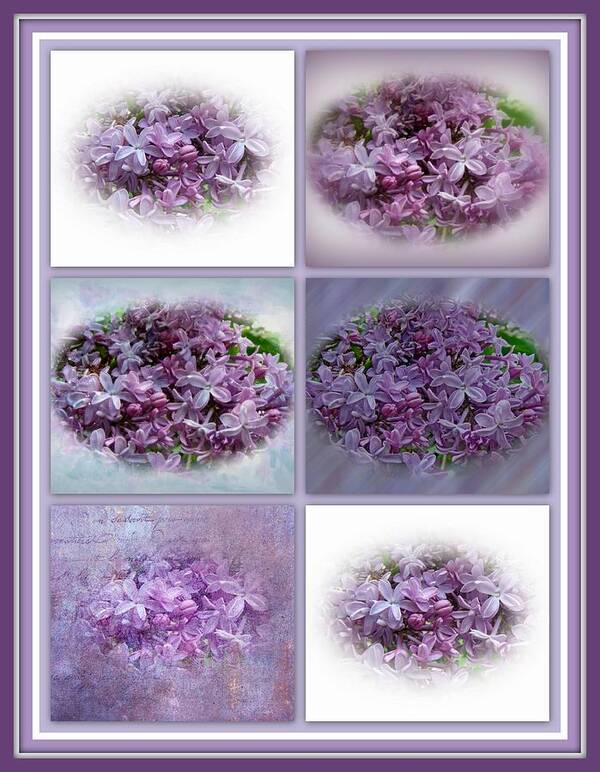 Lilac Art Print featuring the photograph A Bouquet Of Lilacs by Carol Senske