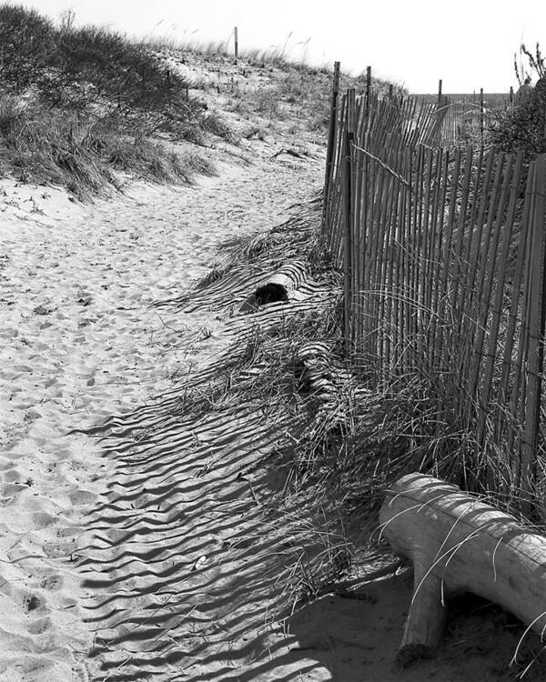 Beach Retaining Fence Art Print featuring the photograph A Stroll In The Sand by Jeff Folger