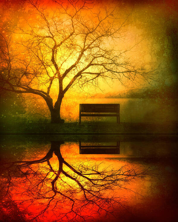 Bench Art Print featuring the photograph And I Will Wait For You Until the Sun Goes Down by Tara Turner